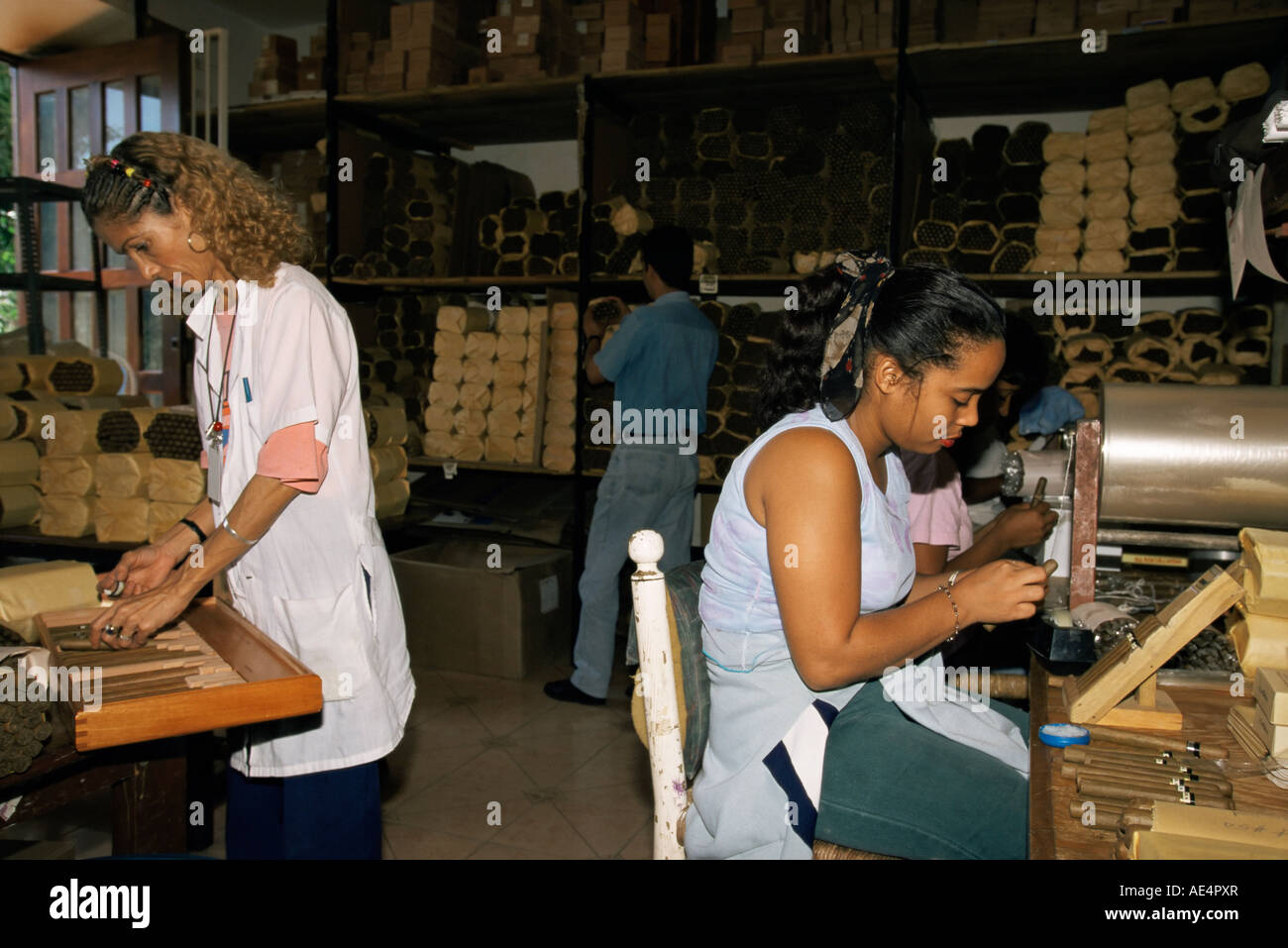 Labelling and wrapping cigars, Santo Domingo, Dominican Republic, West Indies, Central America Stock Photo