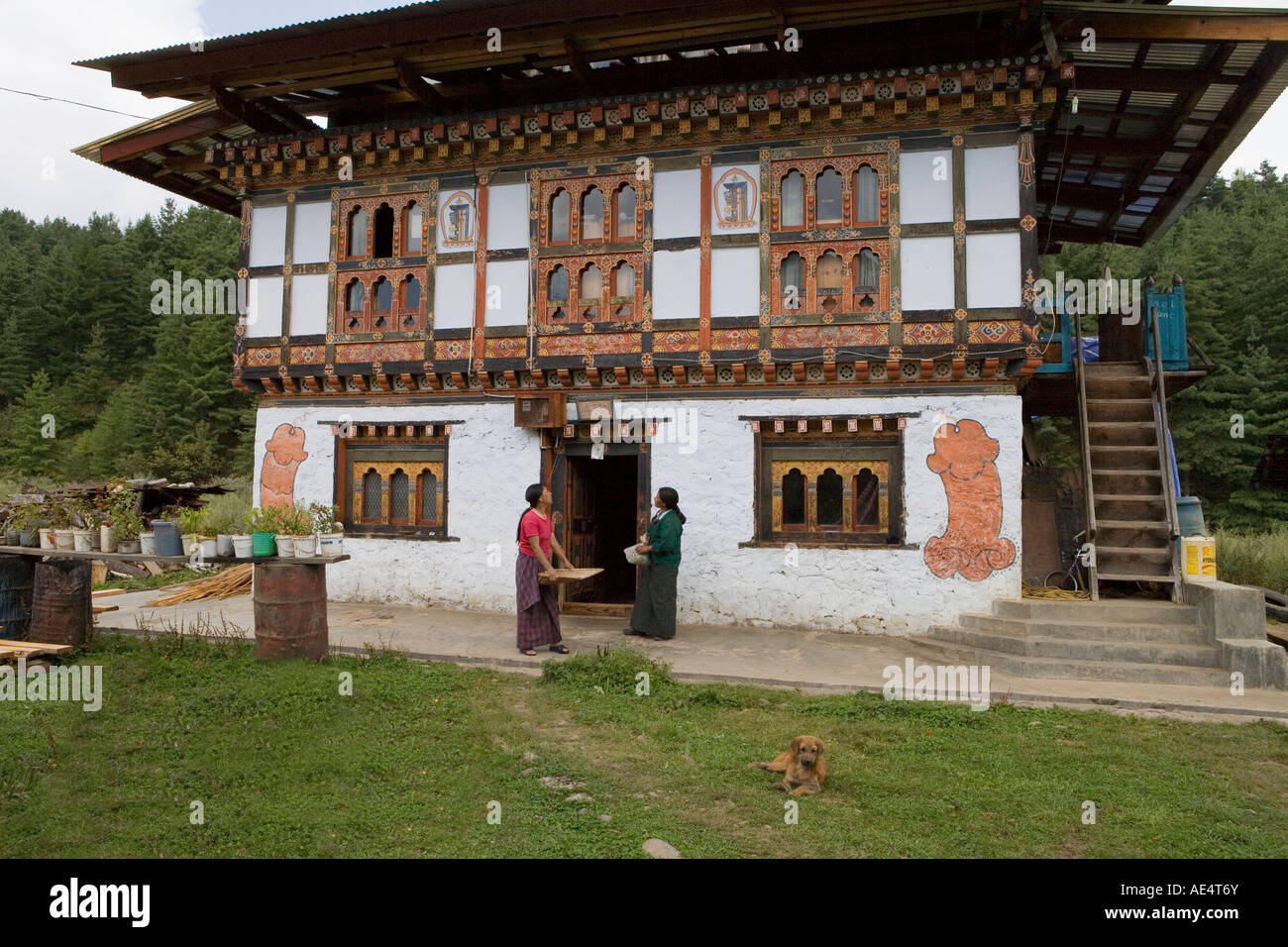 Phallus symbols on house to ward off evil spirits, Bumthang Valley, Bhutan, Asia Stock Photo