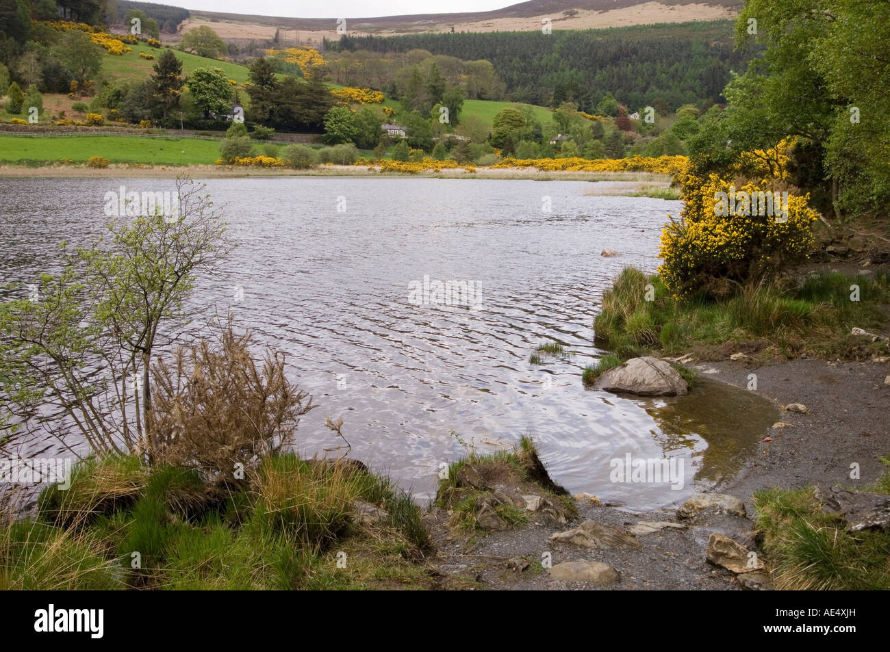 Glendalough, County Wicklow, Leinster, Republic of Ireland (Eire), Europe Stock Photo