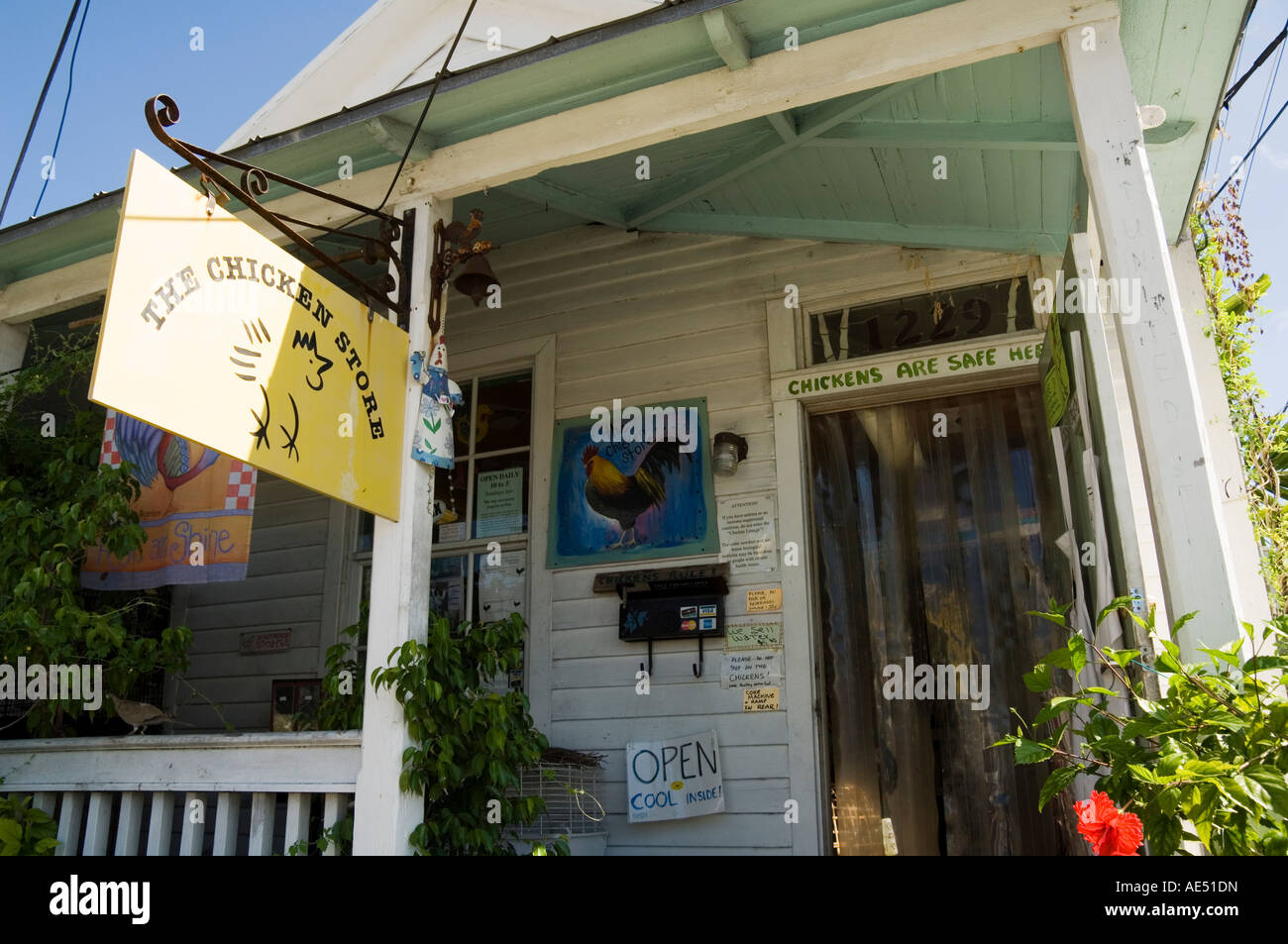 The Chicken Store with chickens inside and out, Duval Street, Key West