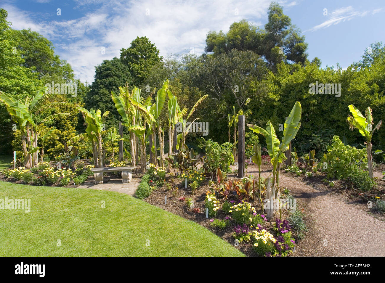 BORDER WITH MUSA AND CANNAS AT RHS GARDEN HYDE HALL, NEAR CHELMSFORD, IN JUNE Stock Photo