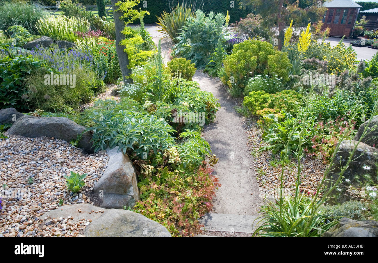THE DRY GARDEN AT RHS GARDEN HYDE HALL, NEAR CHELMSFORD,  IN JUNE Stock Photo