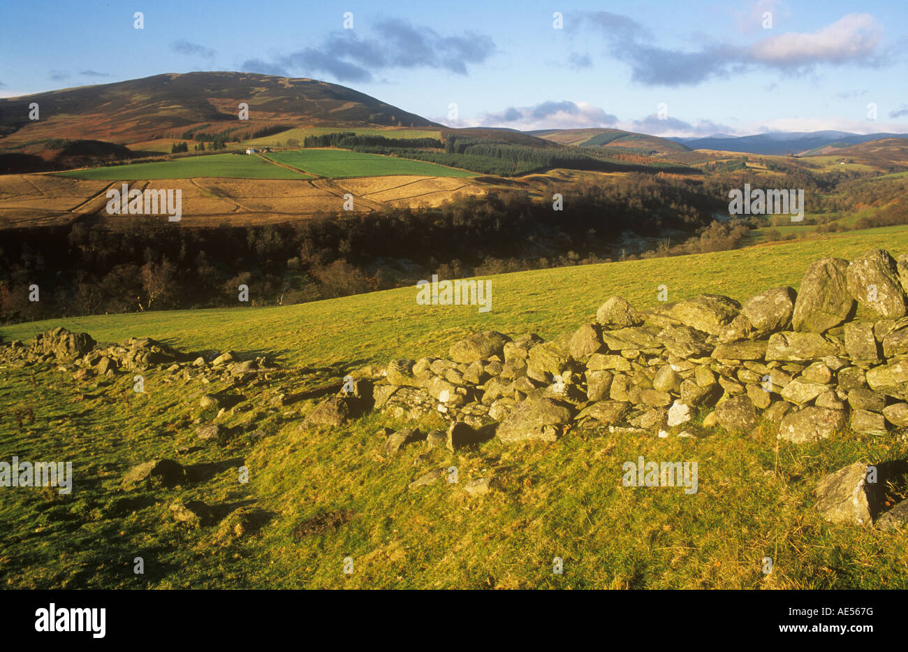 Angus glens hires stock photography and images Alamy