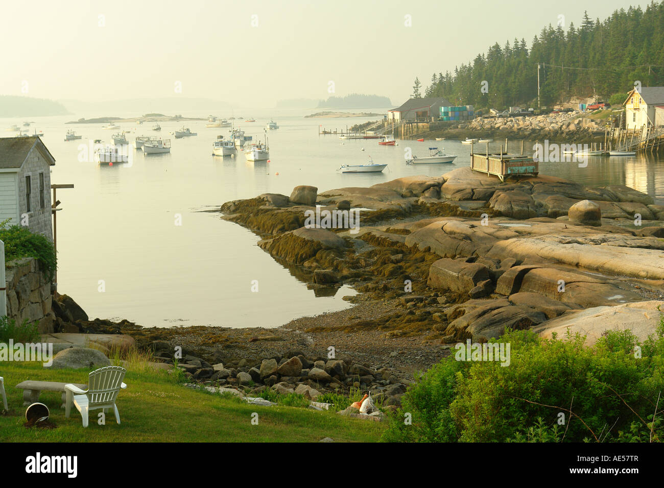 AJD59406, Stonington, ME, Maine, Deer Isle, fishing harbor, low tide