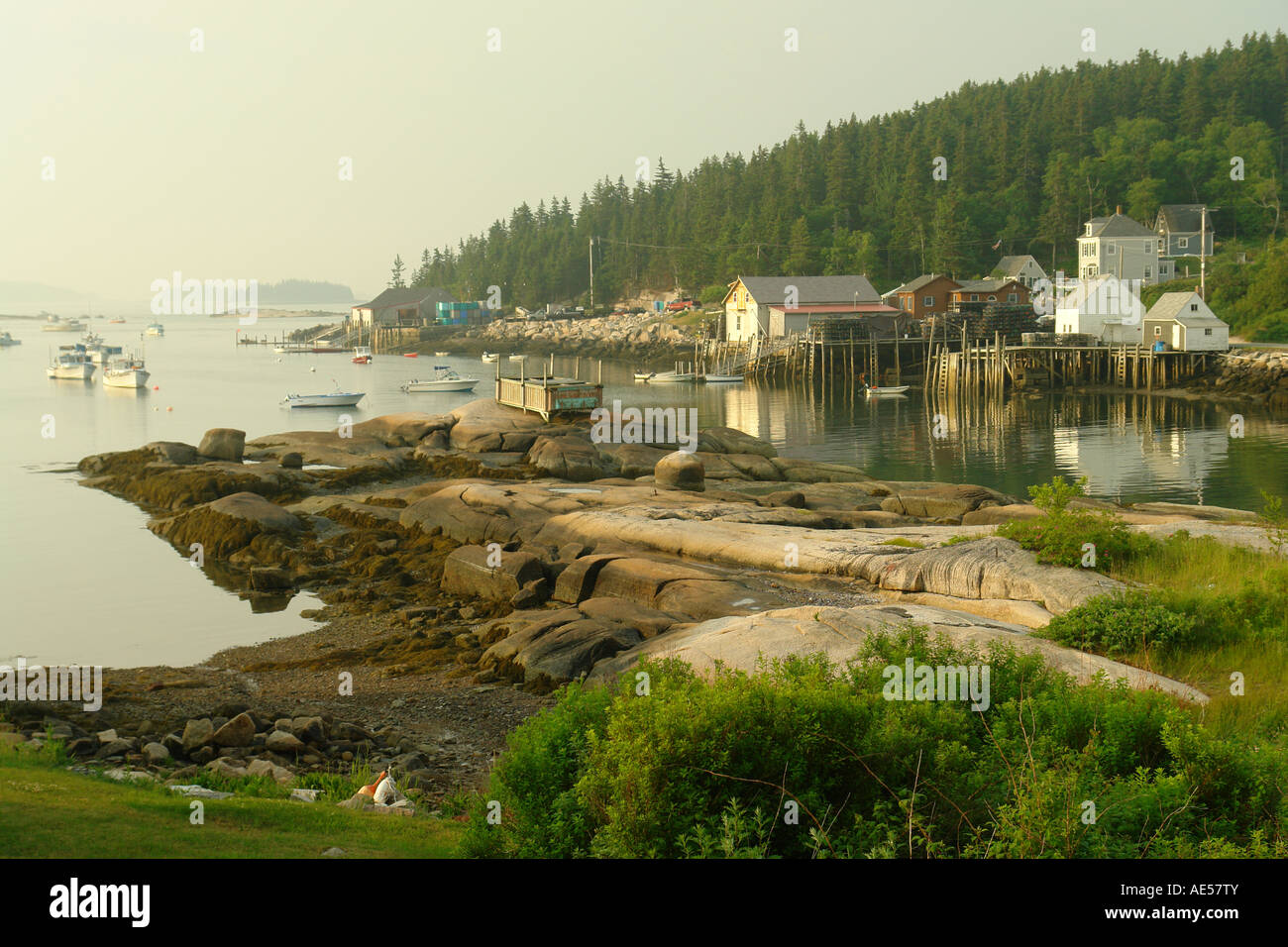 AJD59407, Stonington, ME, Maine, Deer Isle, fishing harbor, low tide