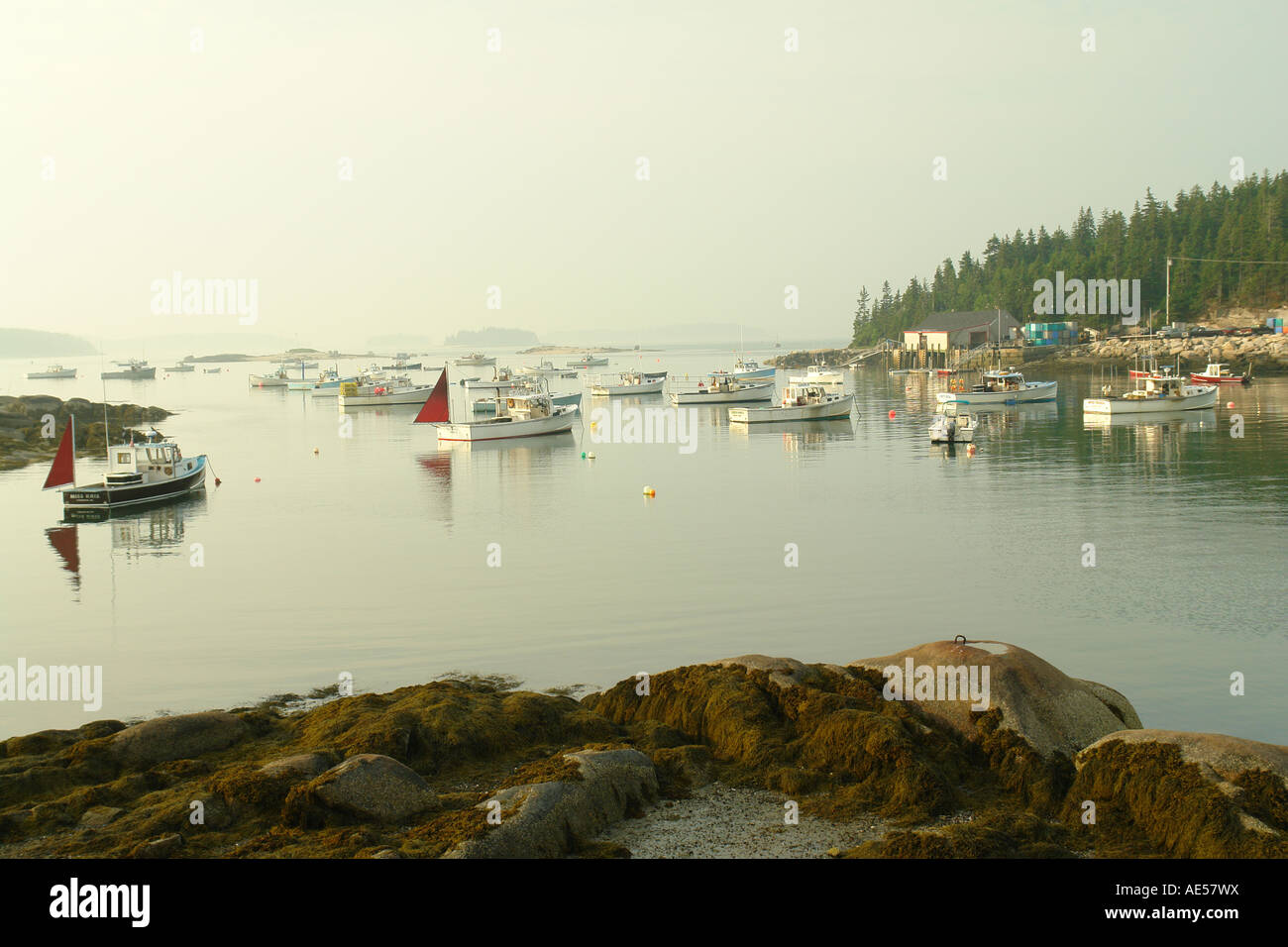 AJD59412, Stonington, ME, Maine, Deer Isle, fishing harbor Stock Photo