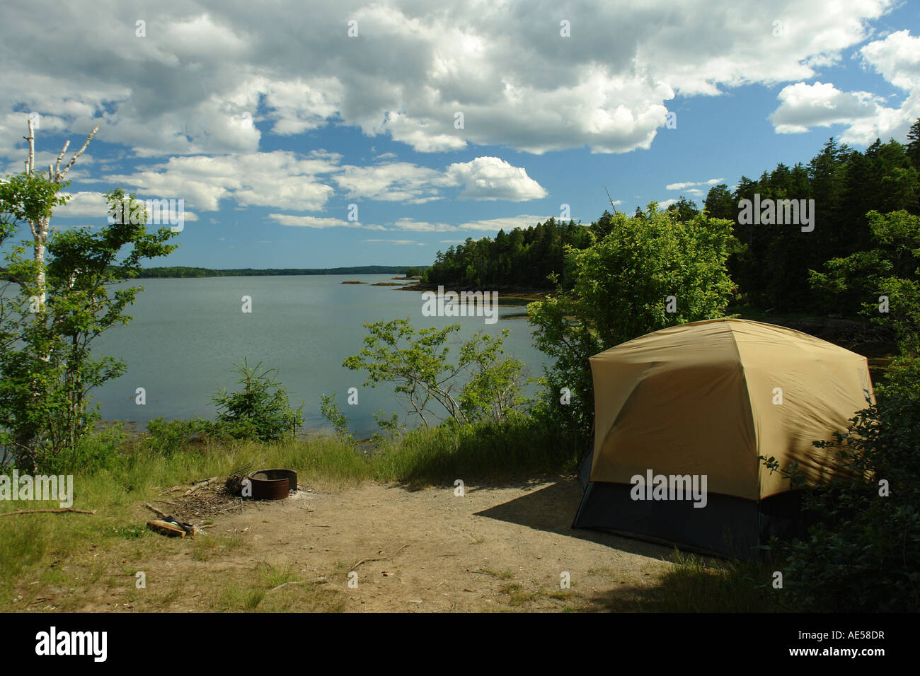 AJD59513, Dennysville, ME, Maine, Cobscook State Park, camping Stock
