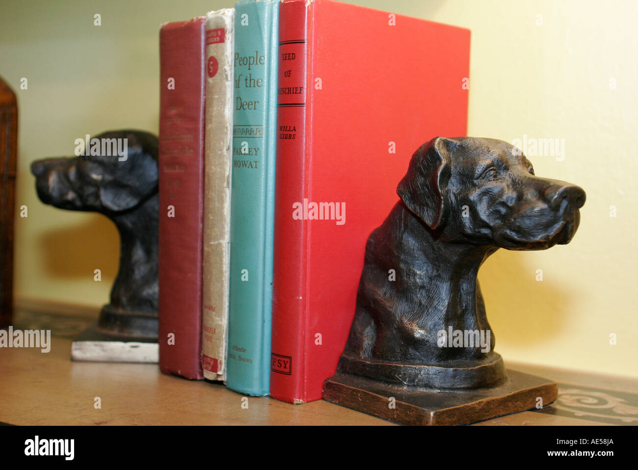 Leesburg Virginia,Loudoun County,South King Street,Otter Creek water Collections,antiques,bookends,dog dogs,pet pets,canine,animal,book,books,visitors Stock Photo