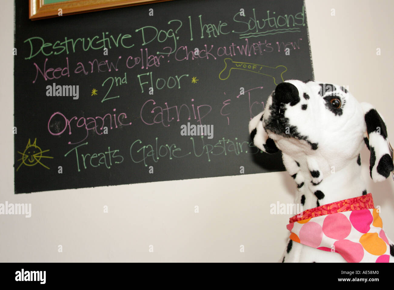 Leesburg Virginia,Loudoun County,Loudoun Street,sign,logo,stuffed Dalmatian,dog dogs,pet pets