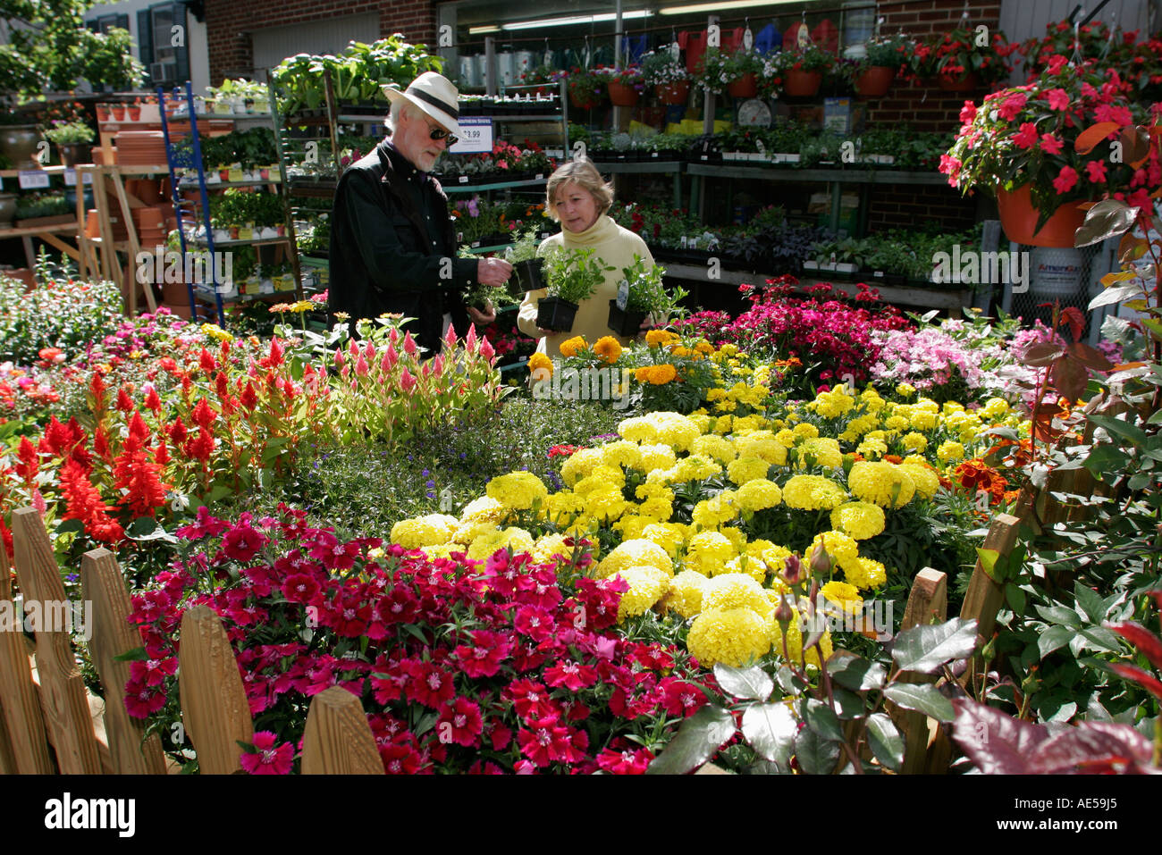 Middleburg Virginia,Loudoun County,Washington Street,Southern States Hardware,nursery,flower