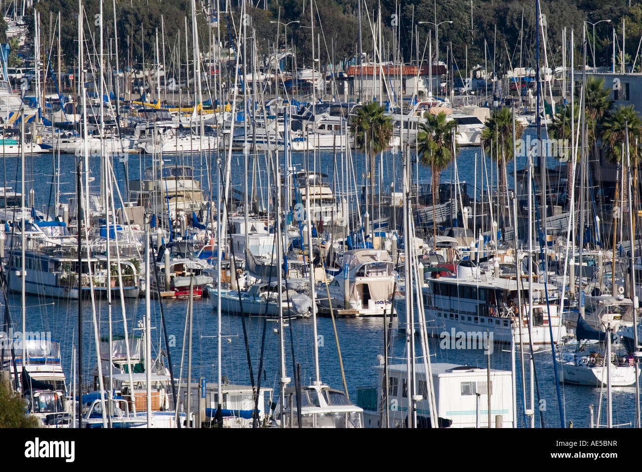 Boats and yachts docked at the Los Angeles Marina in Marina del Rey