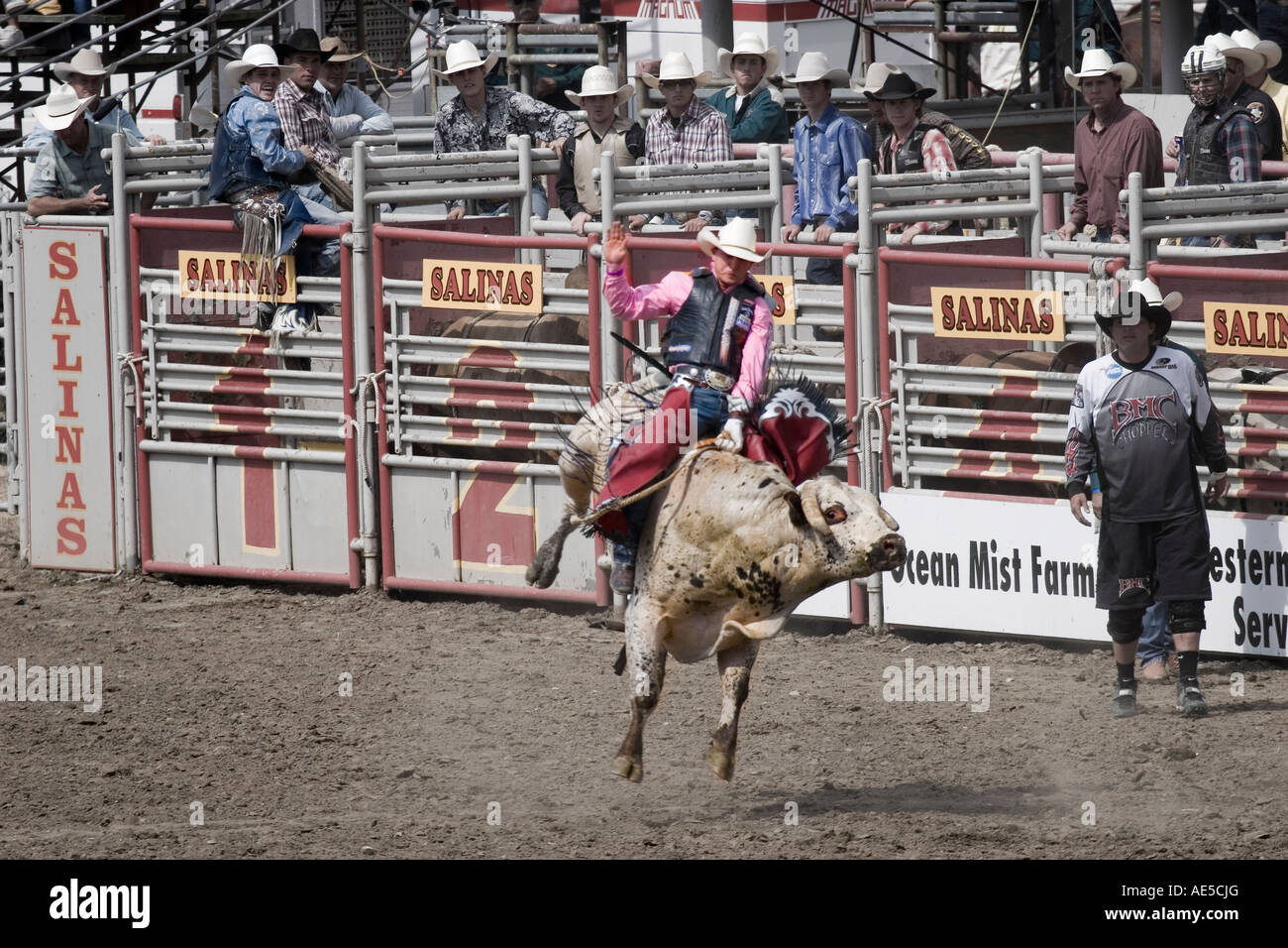 Cowboy riding a white bucking bull in the bull riding competition at a