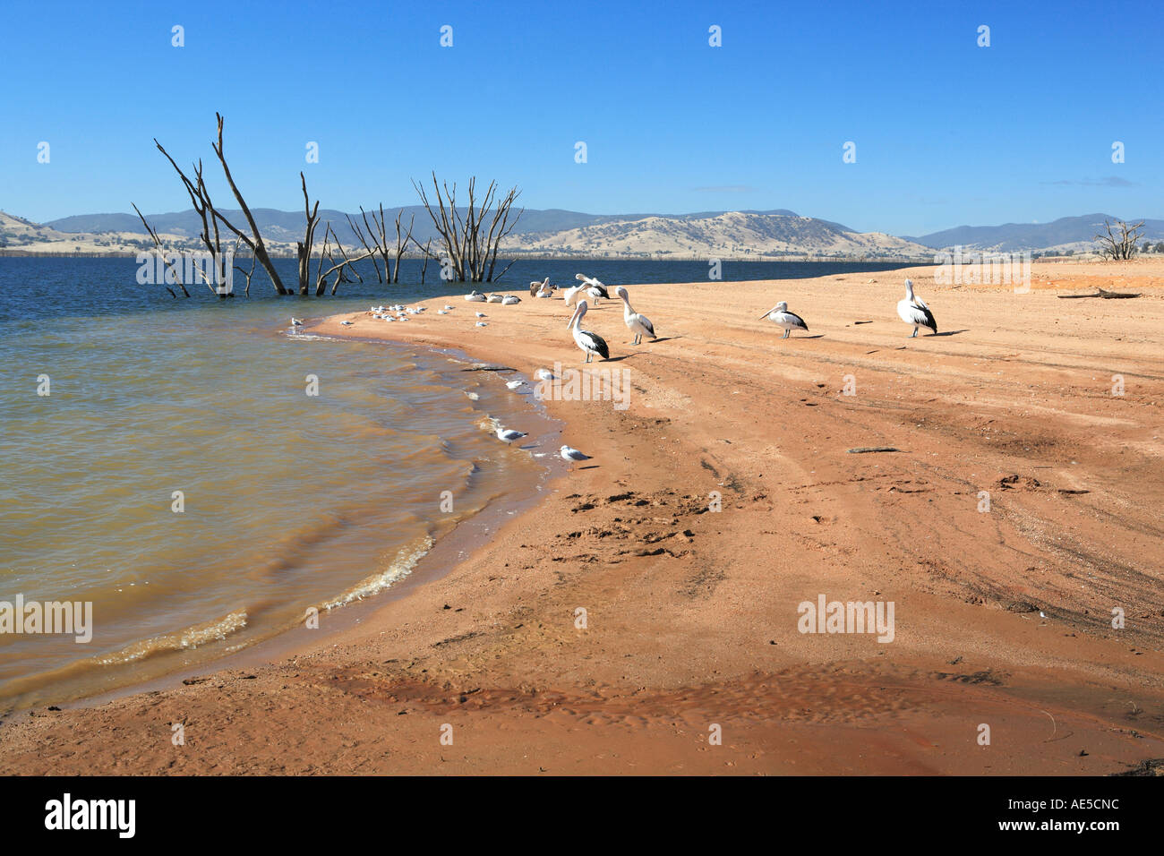 V1298 hires stock photography and images Alamy