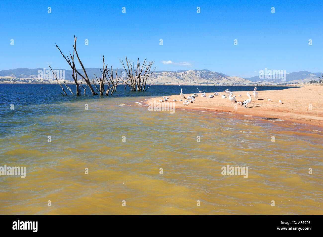 Ludlow’s reserve on Lake Hume near the township of Huon 20 km east of