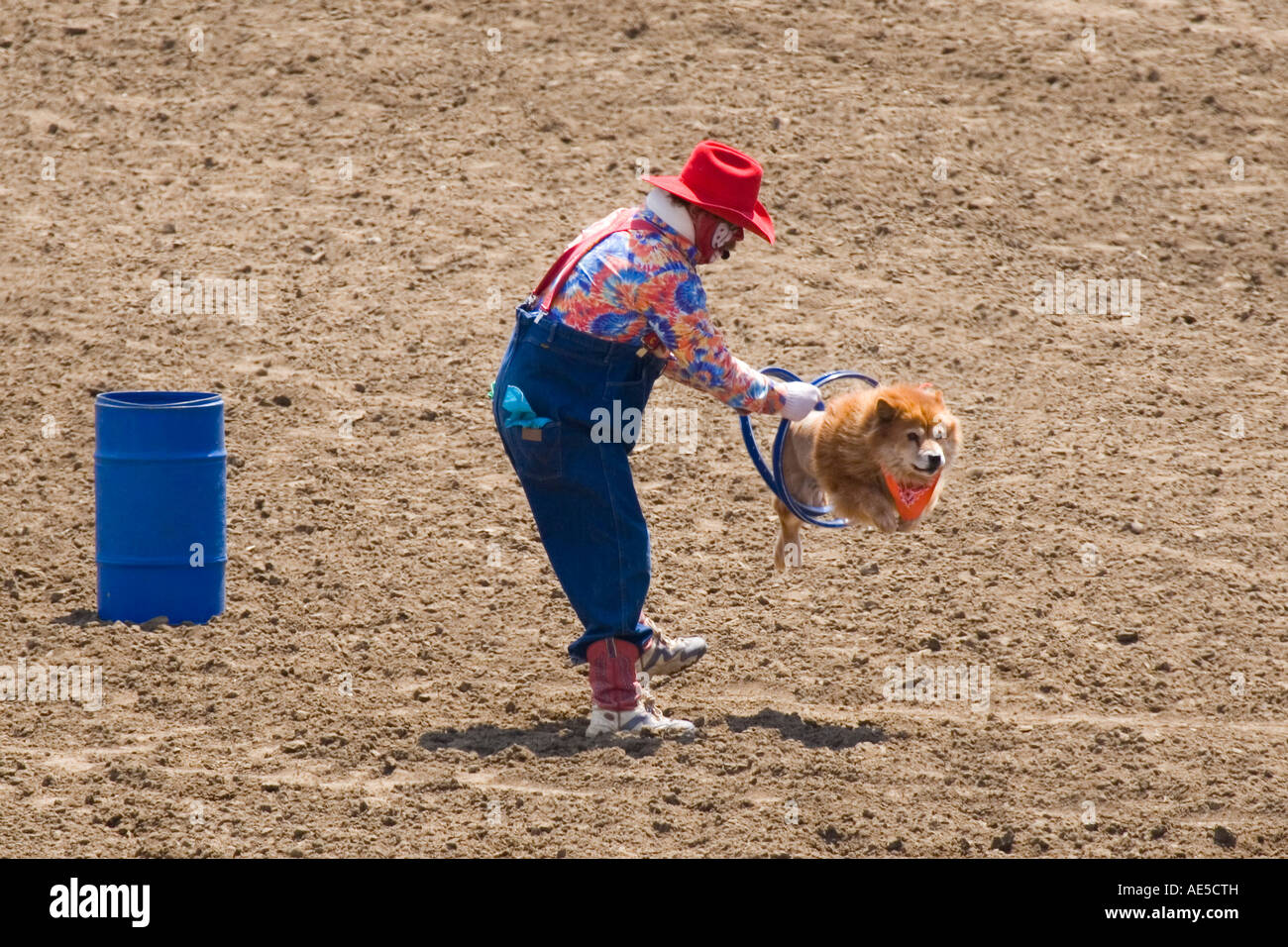 Dog jumping through two hoops held by a clown in a cowboy hat at the