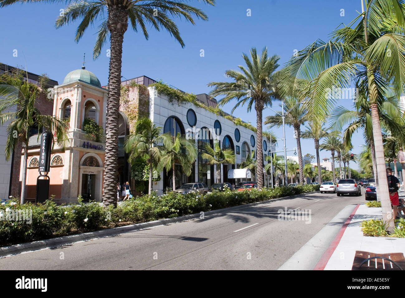 Palm trees lining street and center divide on Rodeo Drive Beverly