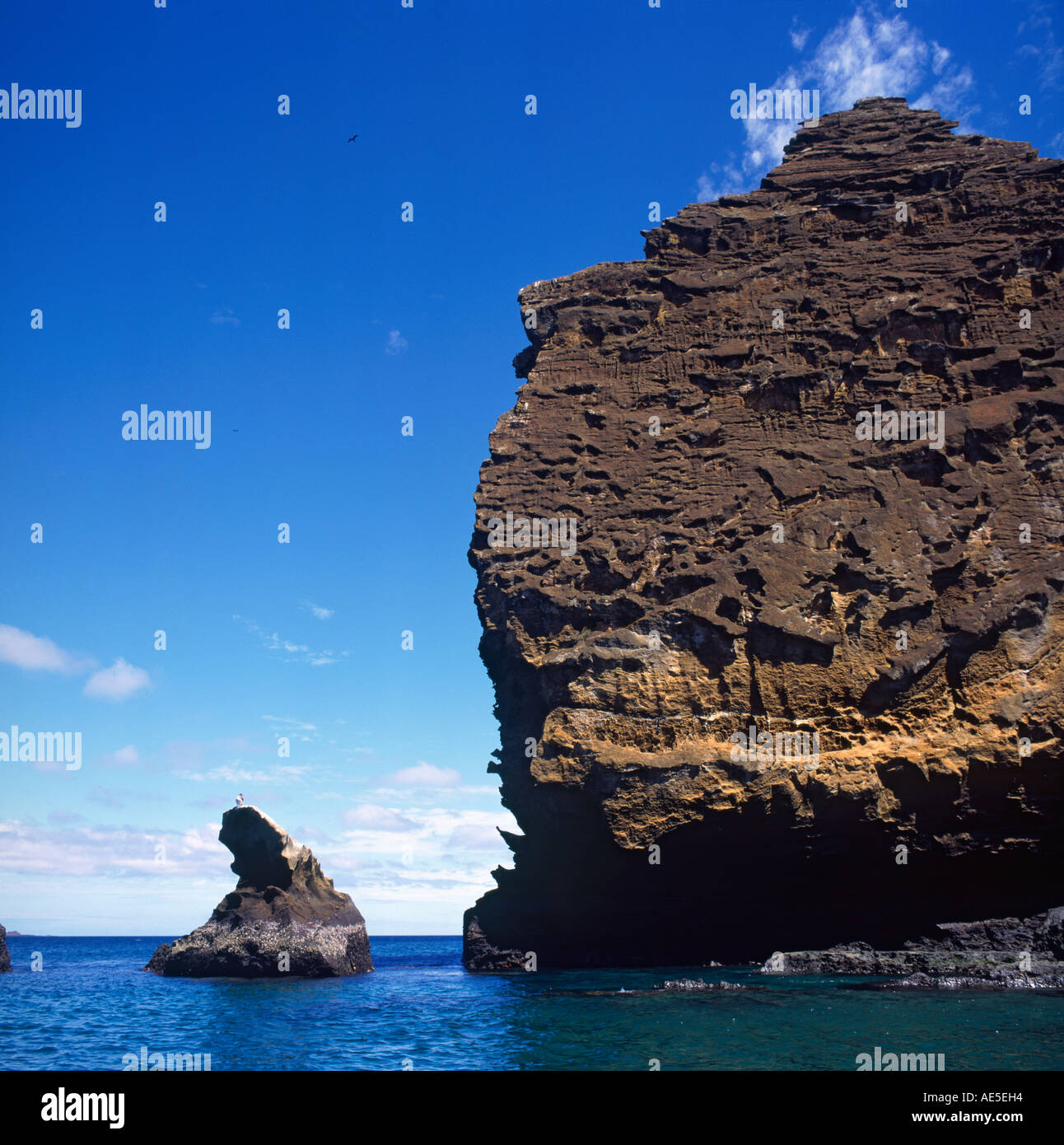 The brown rugged volcanic column of Pinnacle Rock taken from below with sea birds Isla Bartolome The Galapagos Islands Stock Photo