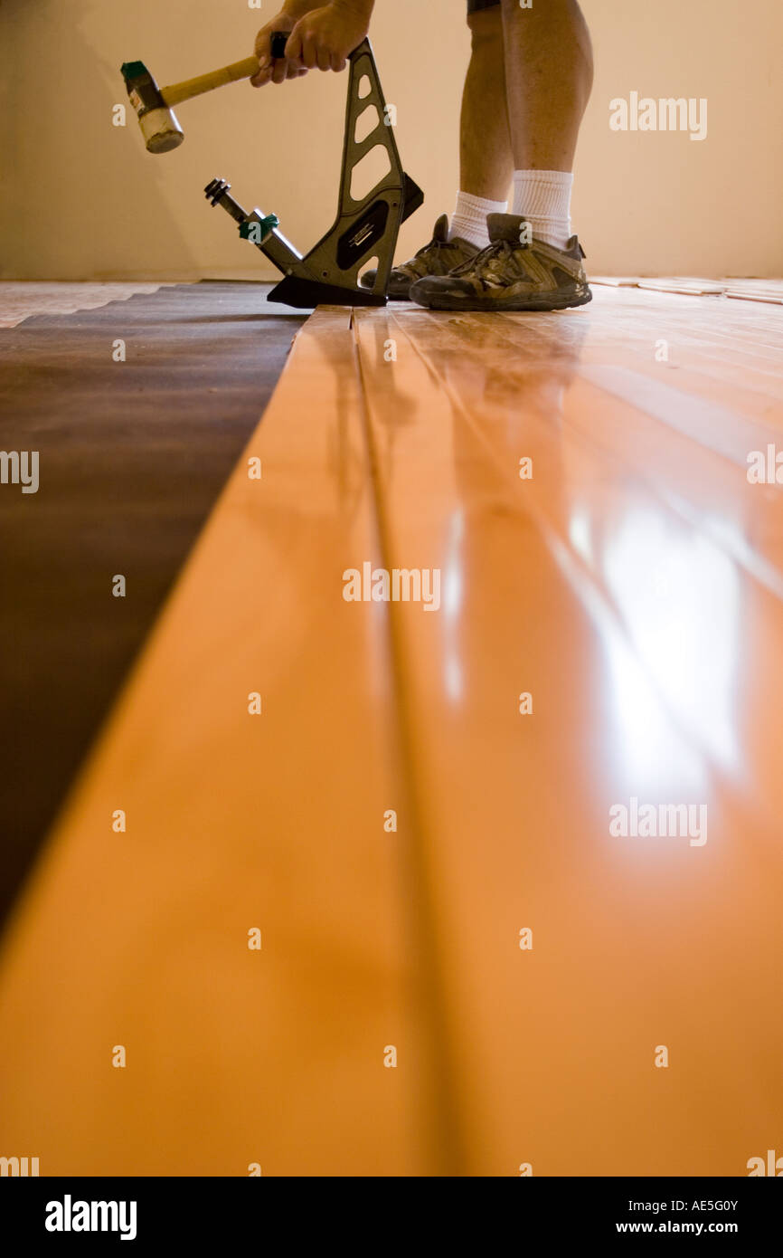 Man installing hardwood floor hitting a floor nailer with rubber mallet