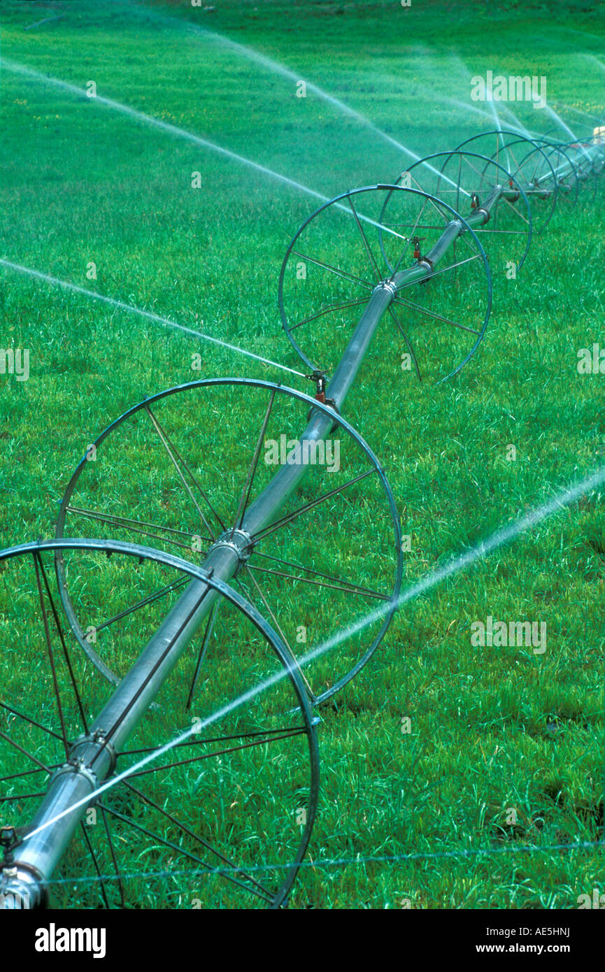 Water wheel sprinkler system spraying water in different directions in