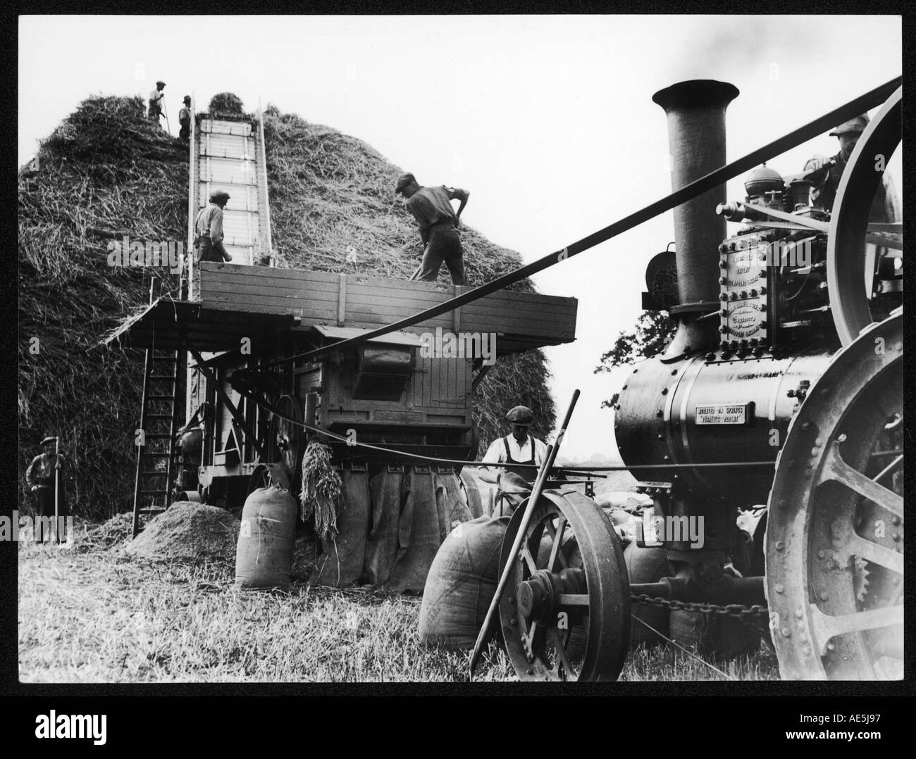 1930s threshing wheat Black and White Stock Photos & Images - Alamy