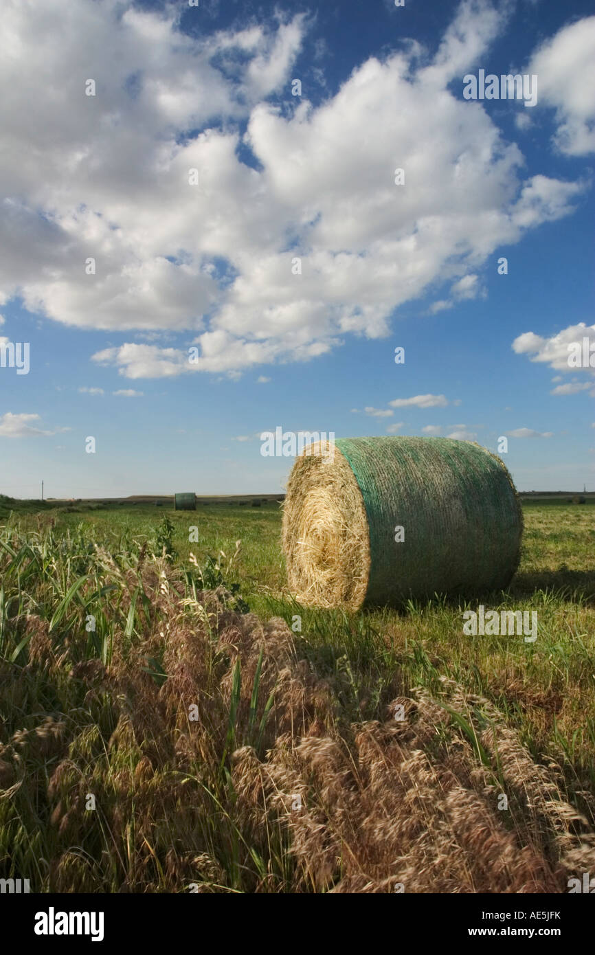 Giant round hay bale in a harvested field with clouds hovering in the ...