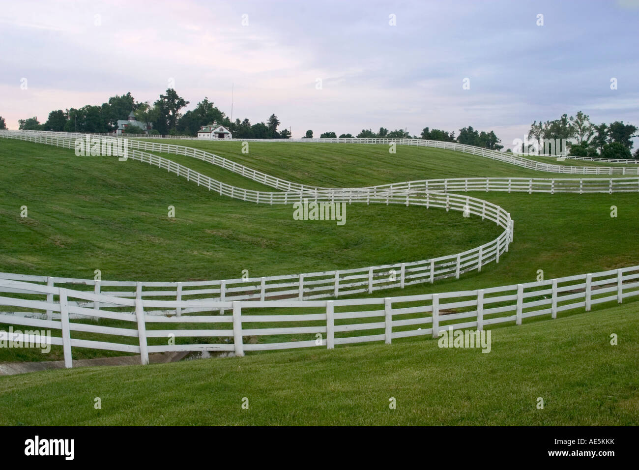 White fences winding around hilly pastures of Calumet Kentucky horse