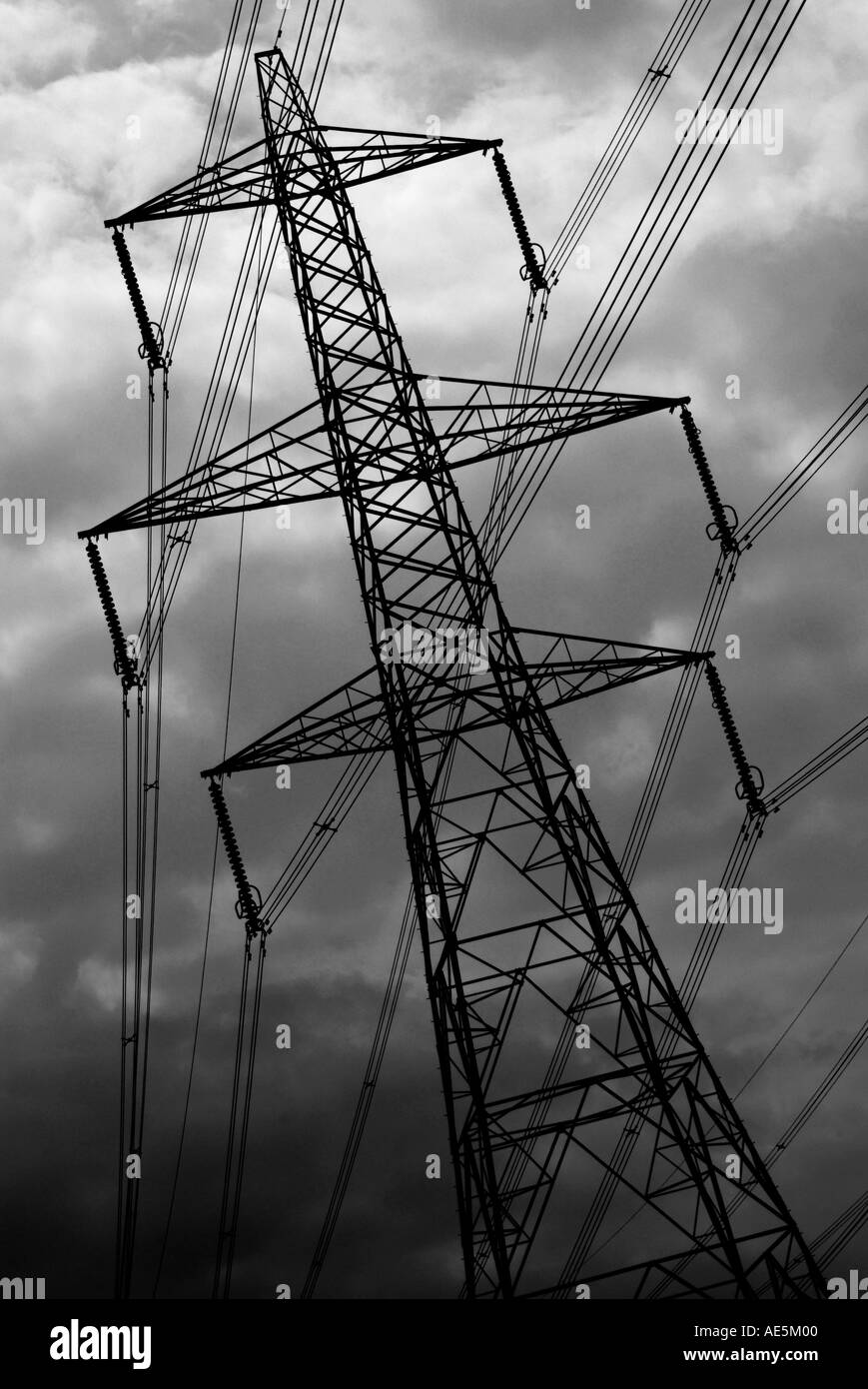 Electricity pylons Sizewell Suffolk Stock Photo