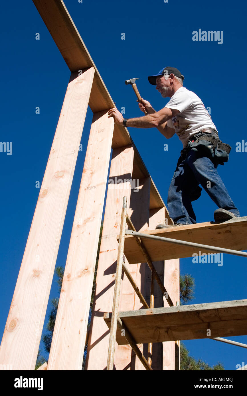 Carpenter standing on scaffolding and nailing studs into top plate of