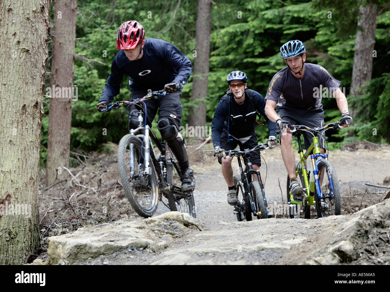 Mountain Biking Hamsterley Forest County Durham Stock Photo
