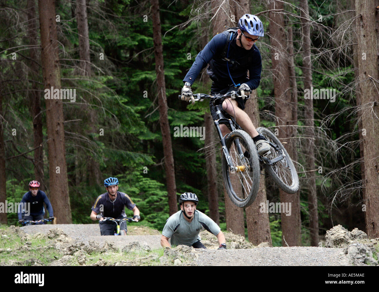 Mountain Biking Hamsterley Forest County Durham Stock Photo