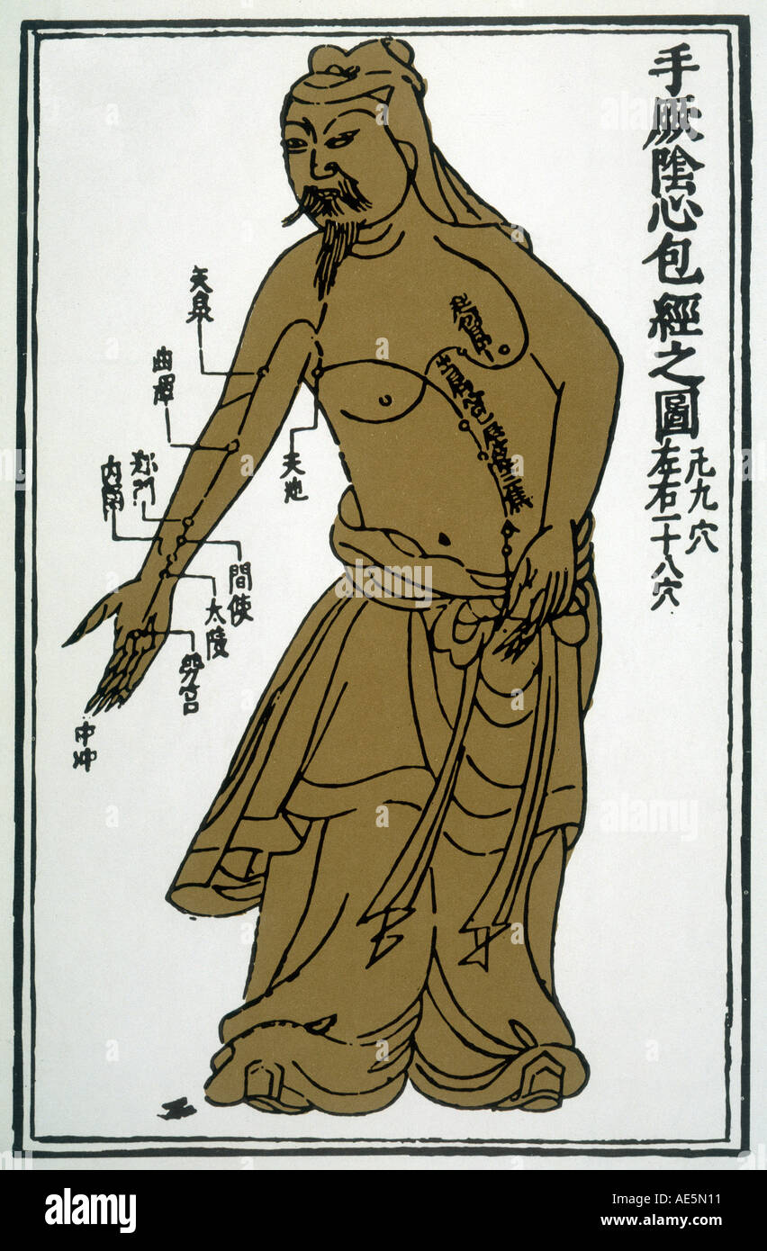 Àtlas fotográfico de acupuntura 鍼灸廃盤希少洋書