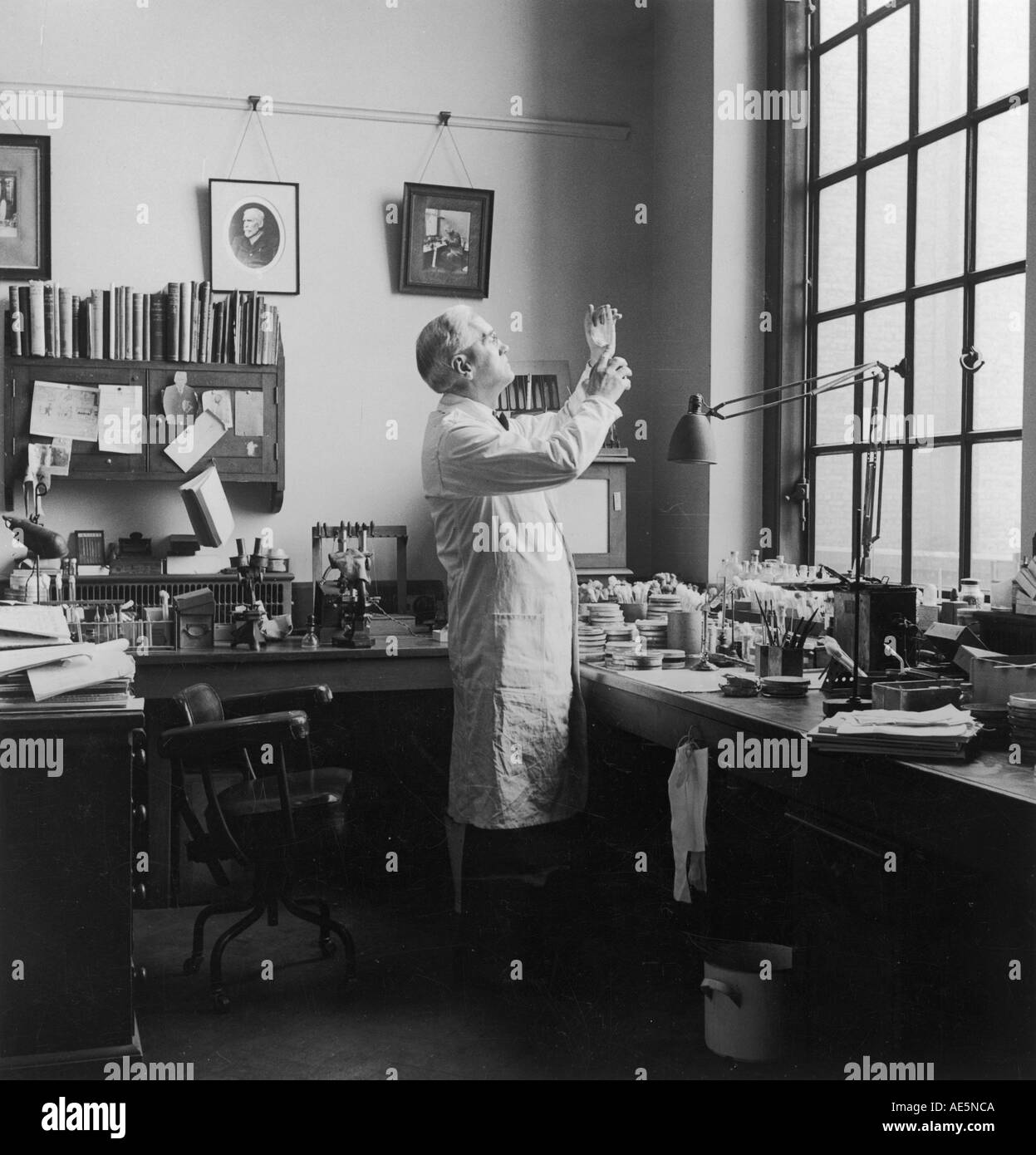 Fleming In His Lab Photo Stock Photo - Alamy
