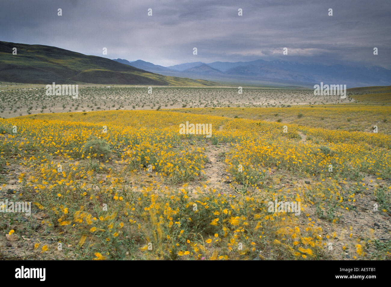 Record temperature death valley hi-res stock photography and images - Alamy