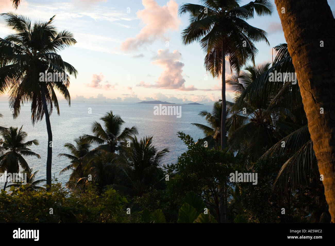 View of beach through coconut palms Property released Fregate Island Seychelles Stock Photo
