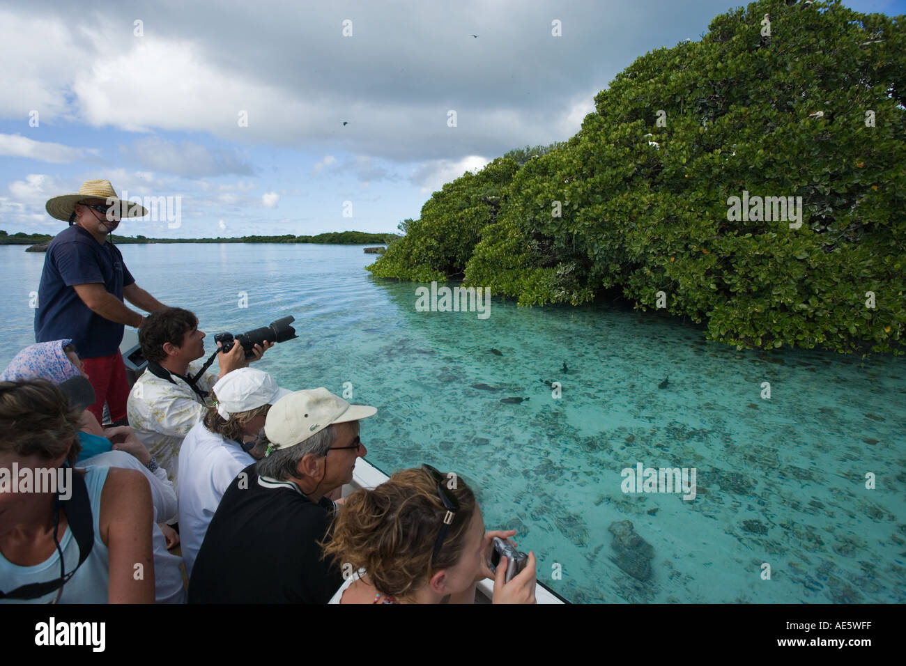Tourists on boat looking at sea bird colony on mangrove trees Aldabra Lagoon Seychelles Stock Photo