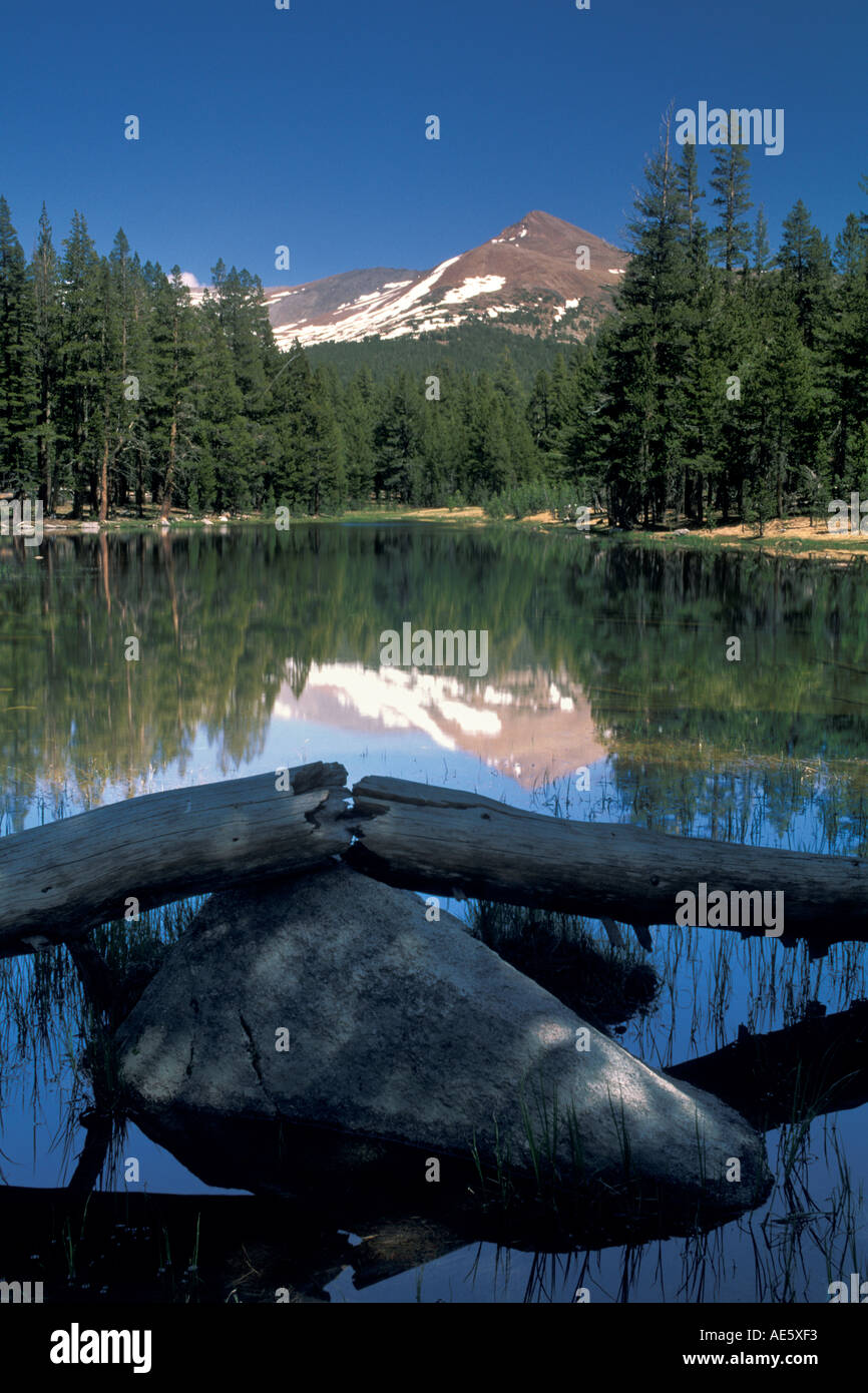 Mount Gibbs reflected in alpine lake water near Tioga Pass Yosemite National Park California Stock Photo