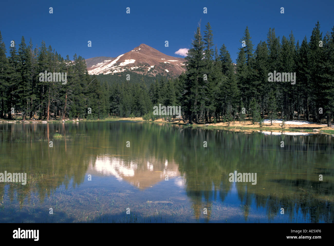 Mount Gibbs reflected in alpine lake water near Tioga Pass Yosemite National Park California Stock Photo