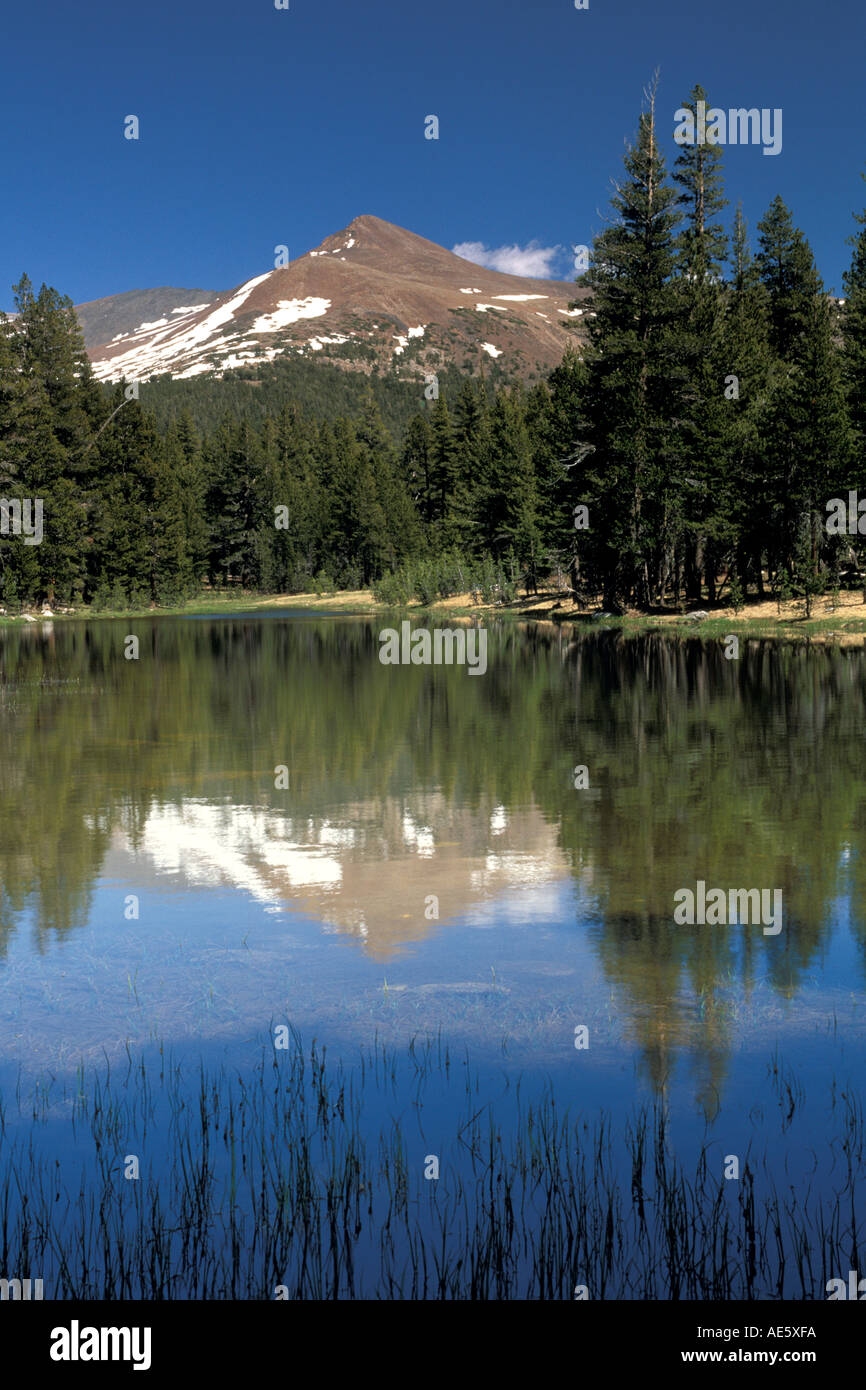 Mount Gibbs reflected in alpine lake water near Tioga Pass Yosemite National Park California Stock Photo