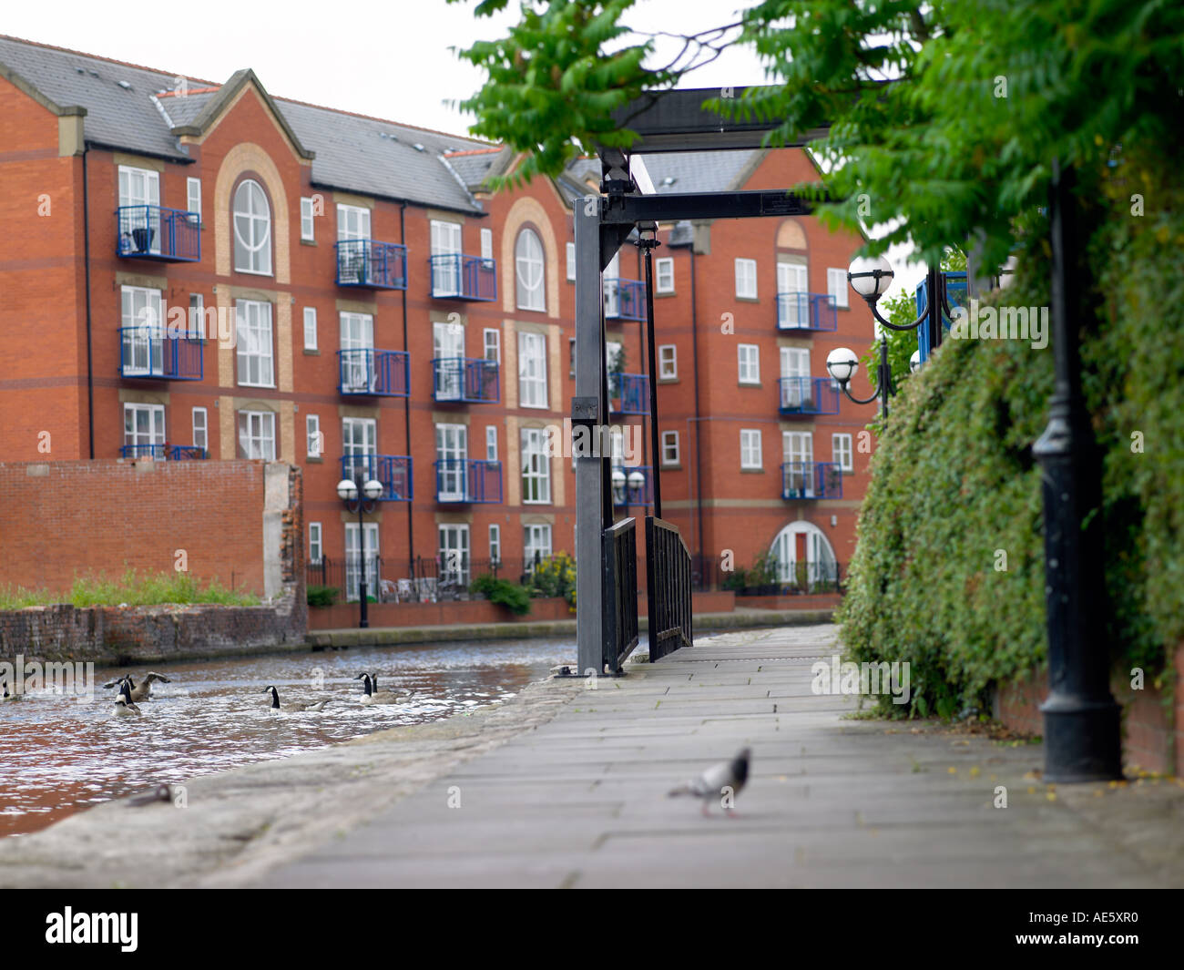 Housing and canal Piccadilly Village Manchester England Stock Photo Alamy