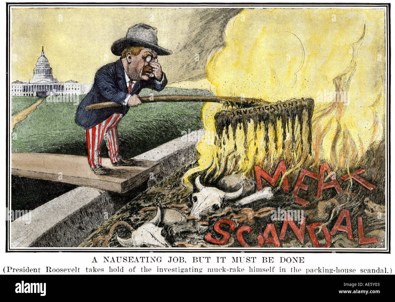 Cartoon of President Theodore Roosevelt as a muckraker cleaning up the meat scandal. Hand-colored halftone of an illustration Stock Photo