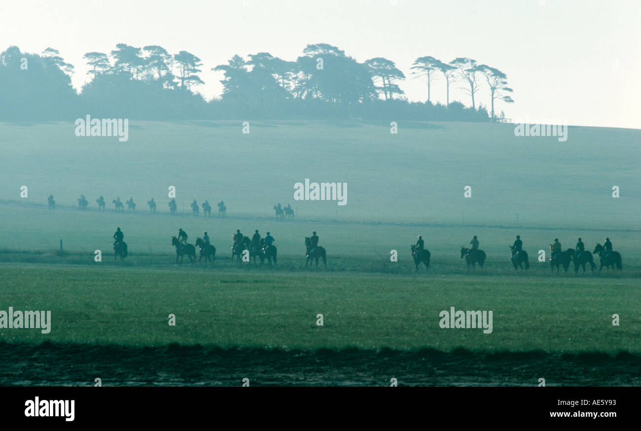 Strings of Race horses training on Newmarket Heath in the early morning Suffolk Stock Photo