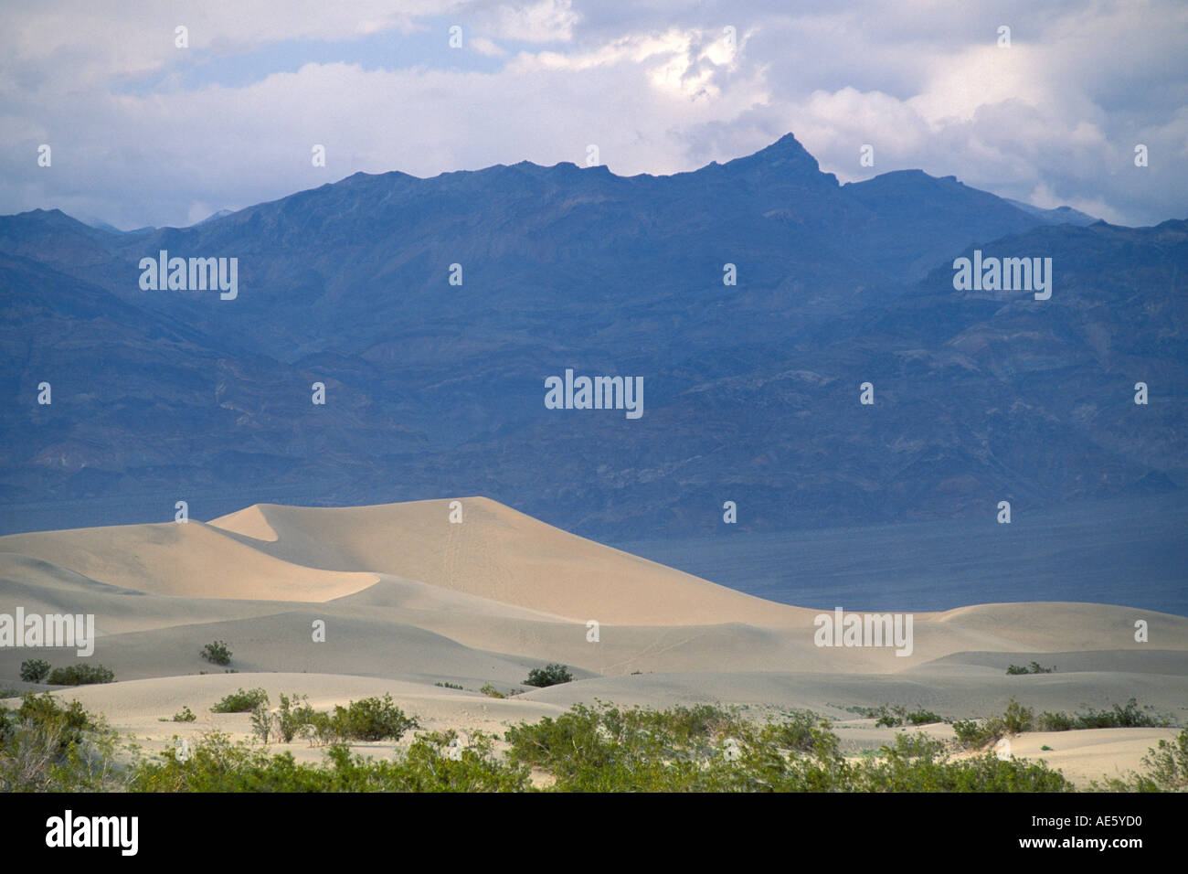 Spring Comes To Dunes >> Sand Dunes Spring Storm Clouds And Mountains Stovepipe Wells Death Spring Comes To Dunes >> Sand Dunes Spring Storm Clouds And Mountains Stovepipe Wells Death