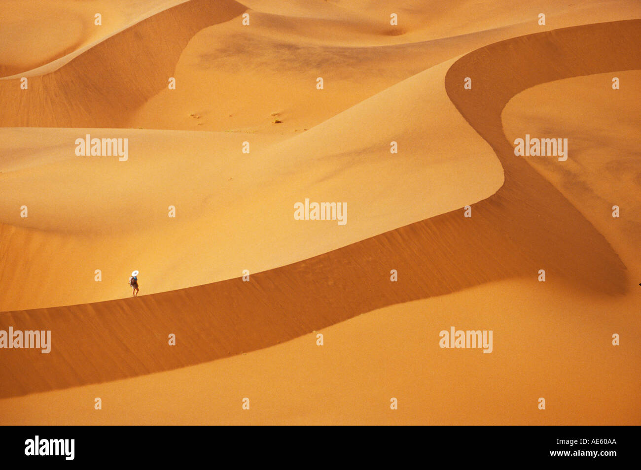 Sand dunes in the Namib desert Namibia Africa Stock Photo