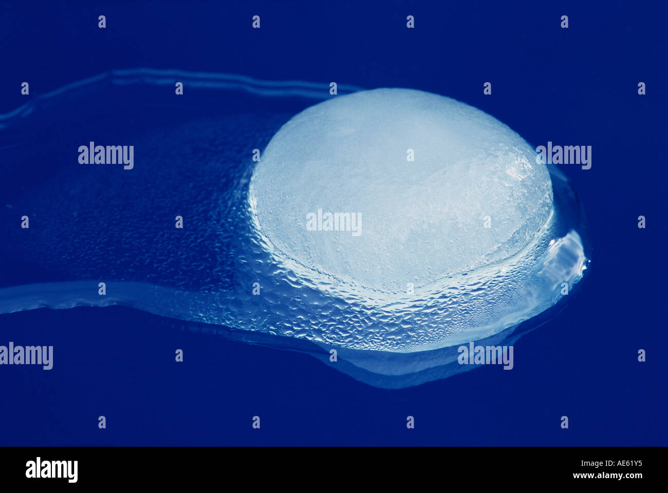 Melting Ice Cube Stock Photo Alamy