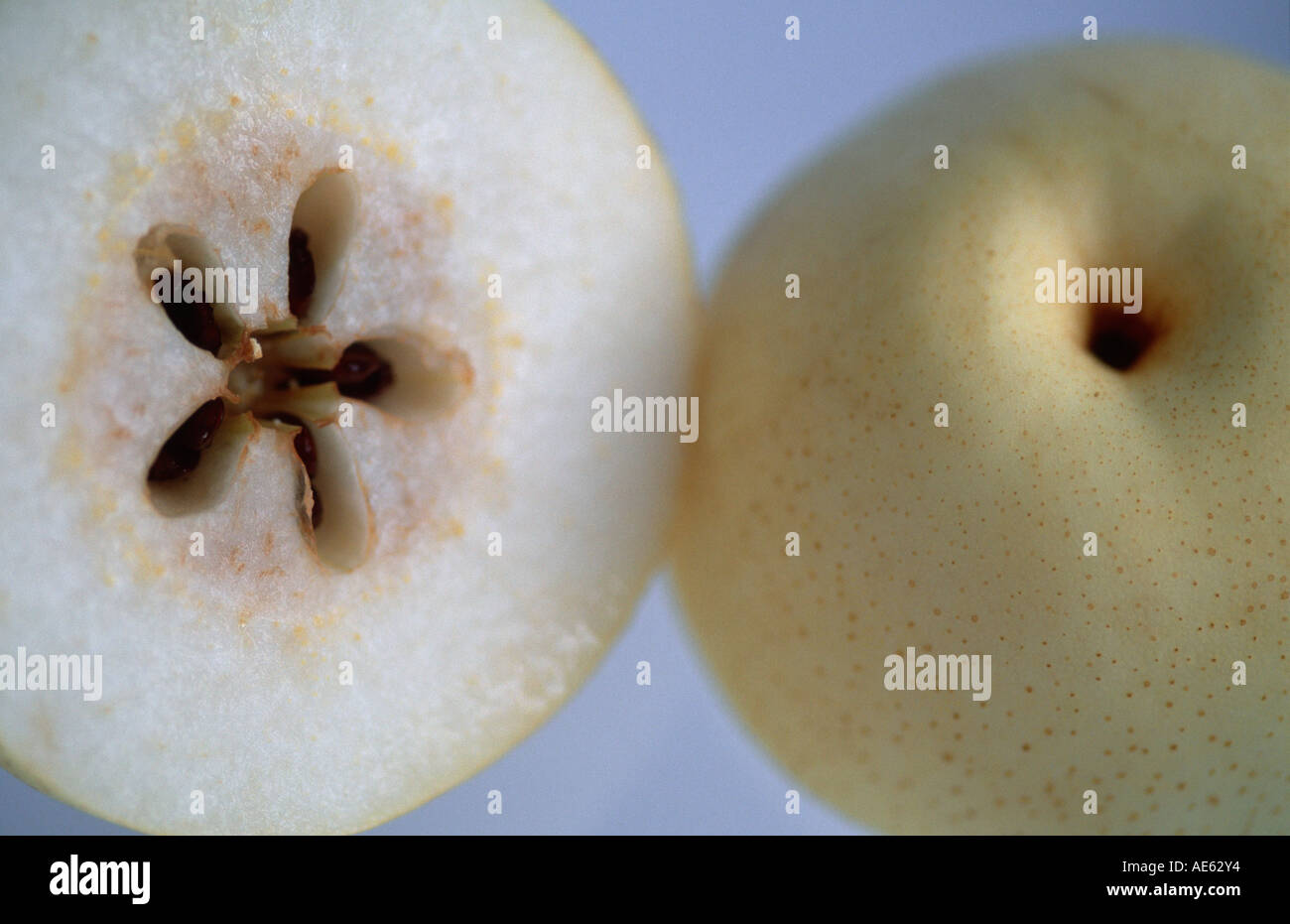Asia pear (Pyrus pyrifolia) Chinese Pear Stock Photo