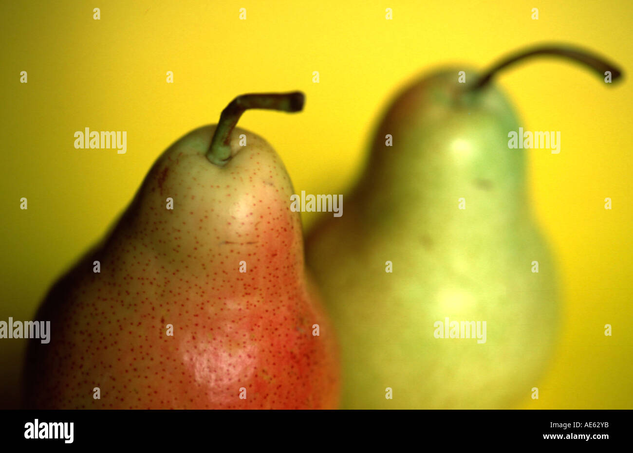 Pears (Pyrus x domestica) Stock Photo
