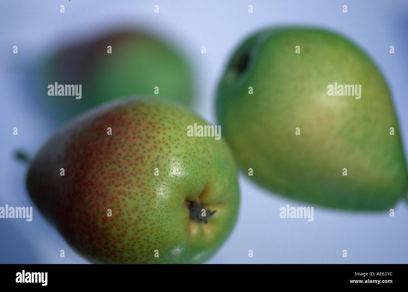 Pears (Pyrus x domestica) Stock Photo