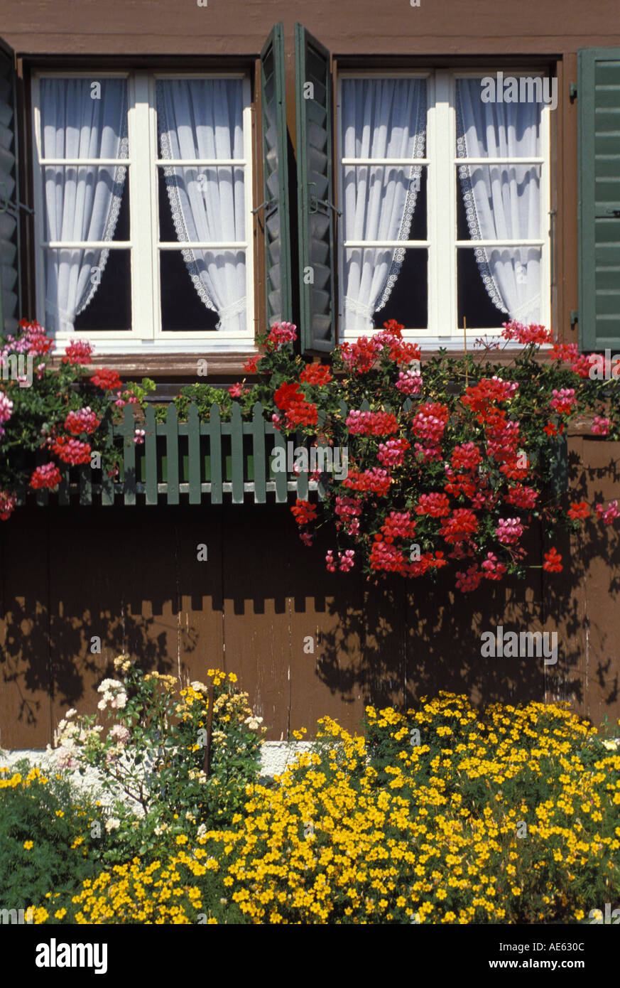 House with window boxes and blooming plants Switzerland Stock Photo Alamy
