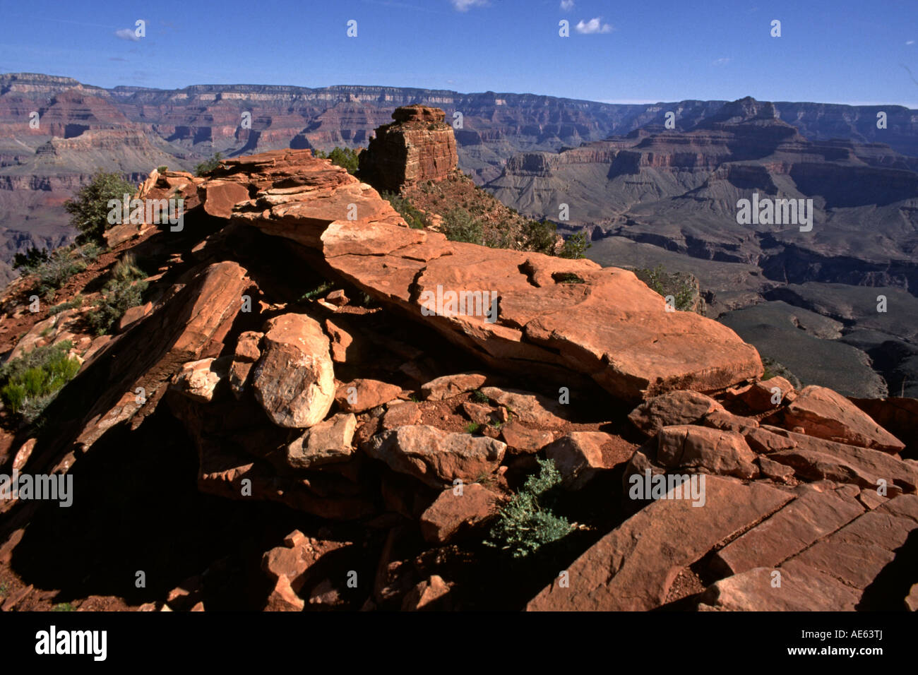 Plants grow atop a SANDSTONE OUTCROPPING along the KAIBAB TRAIL GRAND CANYON NATIONAL PARK ARIZONA Stock Photo