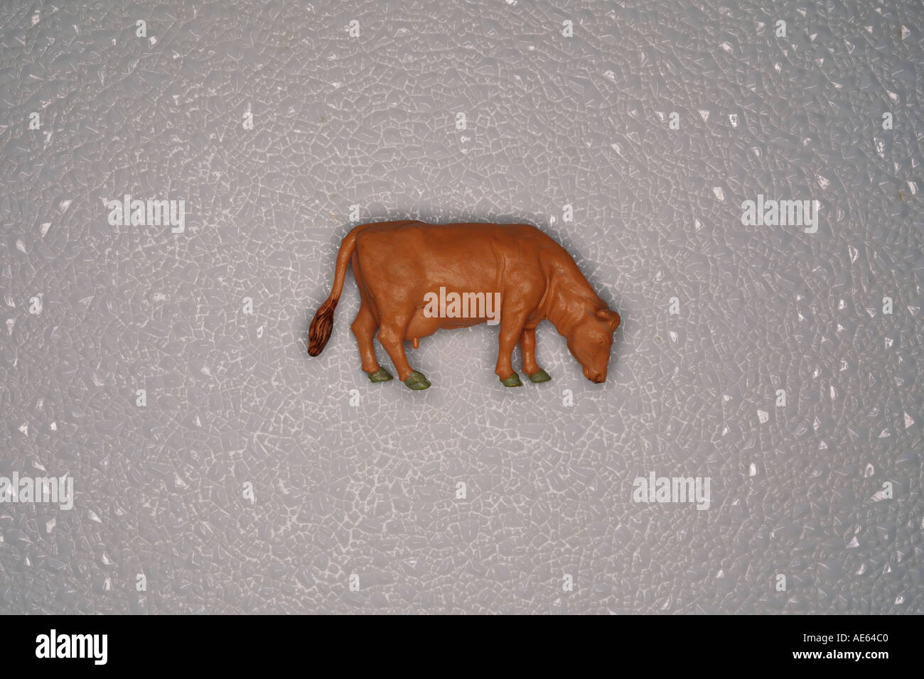 Plastic model cow on white plastic background Stock Photo